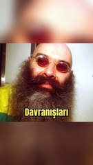Dünyanın en Tehlikeli Mahkumu: Charles Bronson