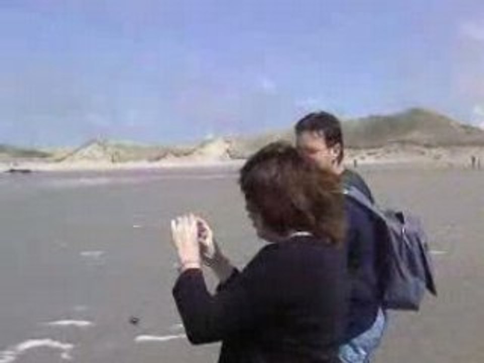 1course plage 3 cockers1