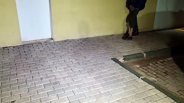 Indivíduo é detido ao tentar furtar fios em Cascavel