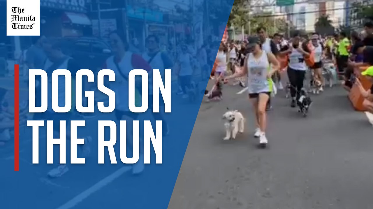 Fur parents, babies join fun run for Rabies Awareness Month