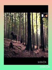 Top Survival Scenes in Film 🎬