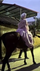 Hòa Minzy Bắc Bling