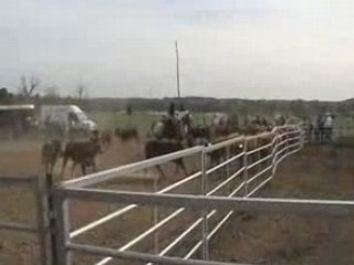 chevaux