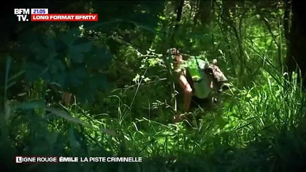 Alors que l'enquête se poursuit pour élucider les circonstances de la disparition d'Émile Soleil, ses grands-parents maternels ainsi que son oncle et sa tante ont été remis en liberté à l'issue de leur garde à vue, ce jeudi 27 mars 2025. Au lendemain de l