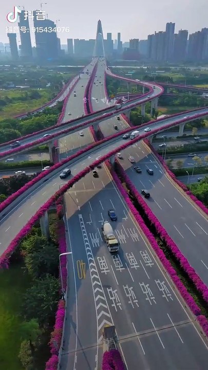 Saleemoffical presentation - Bougainvillea flowers blooming alongside the highways in Fuzhou, Fujian province, China, adding a gorgeous color to the city's traffic infrastructure