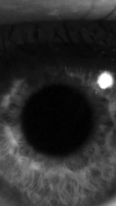 EYES