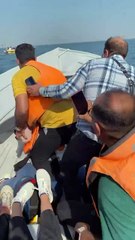 Saleemoffical presentation- visitor dolphin 🐬 ♥️ | #dolphin