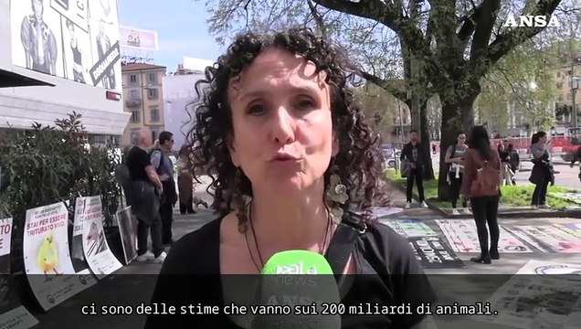 Milano, Di Lenge (Iene Vegane): Ogni anno macellati 200 miliardi di animali