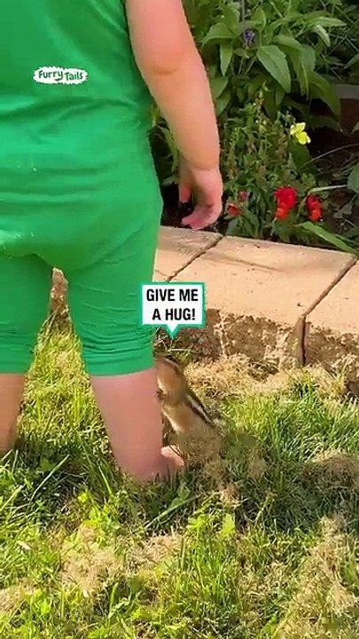 Lach dich schlapp mit Lustige Pfoten Ч. 27