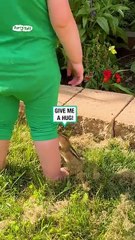 Lach dich schlapp mit Lustige Pfoten Ч. 27