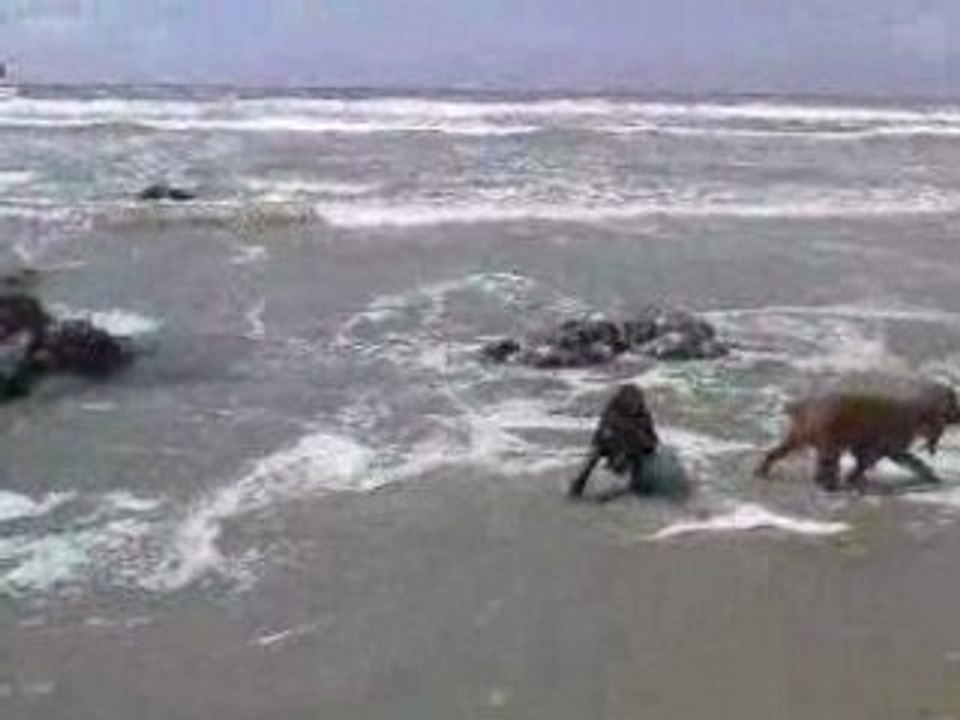 1 la mer descend