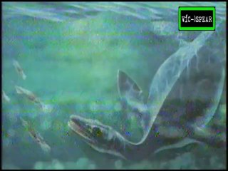 Criaturas X: El Extraterrestre del Abismo - Documental (1998) - Español Latino