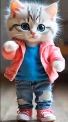 Entatanment Vedio Channel for kids Enjoy .