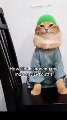 Entatanment Vedio Channel for kids Enjoy .