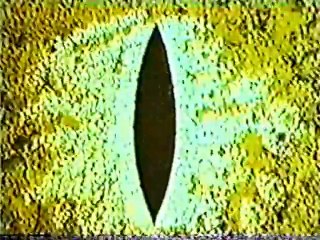 T.H.E. Cat (1966)  E22 - The Blood-Red Night