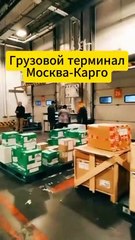 Погибших россиян доставляют почтой/The dead Russians are being delivered to the shelter