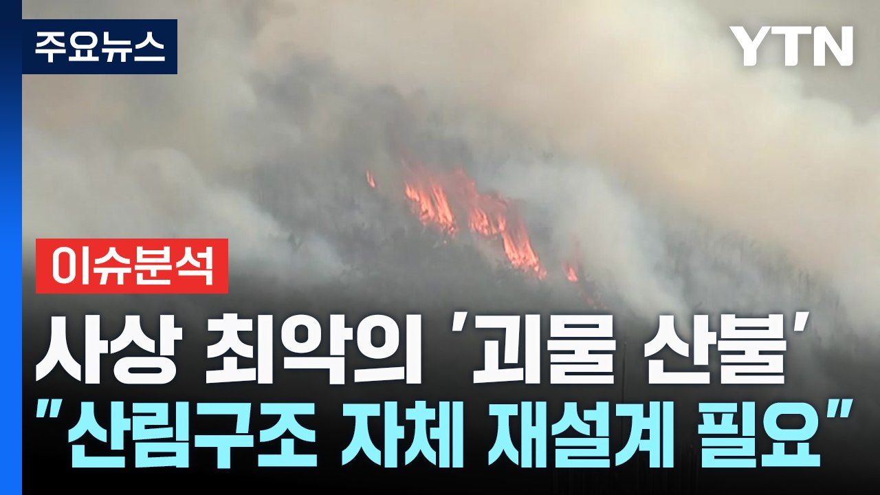 사상 최악의 '괴물 산불'..."산림구조 자체 재설계 필요" / YTN