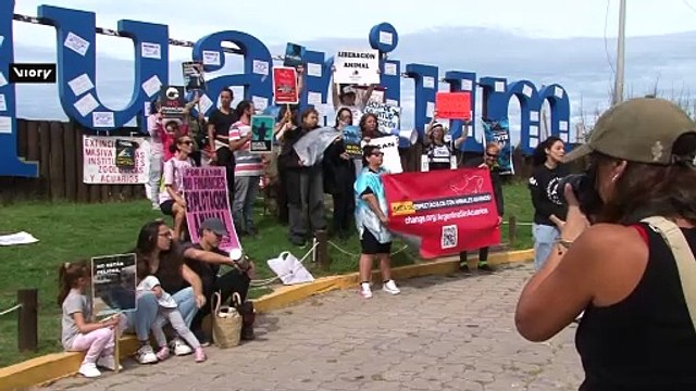 Cierre definitivo del Aquarium Mar del Plata: qué pasará con los animales