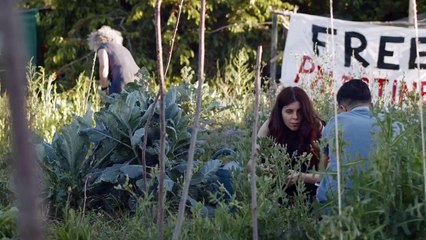 La Terre des vertus Film Documentaire