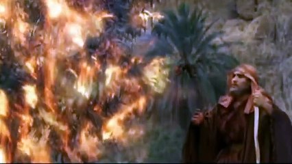 Rameses Wrath of God or Man Discovery Channel Documentary