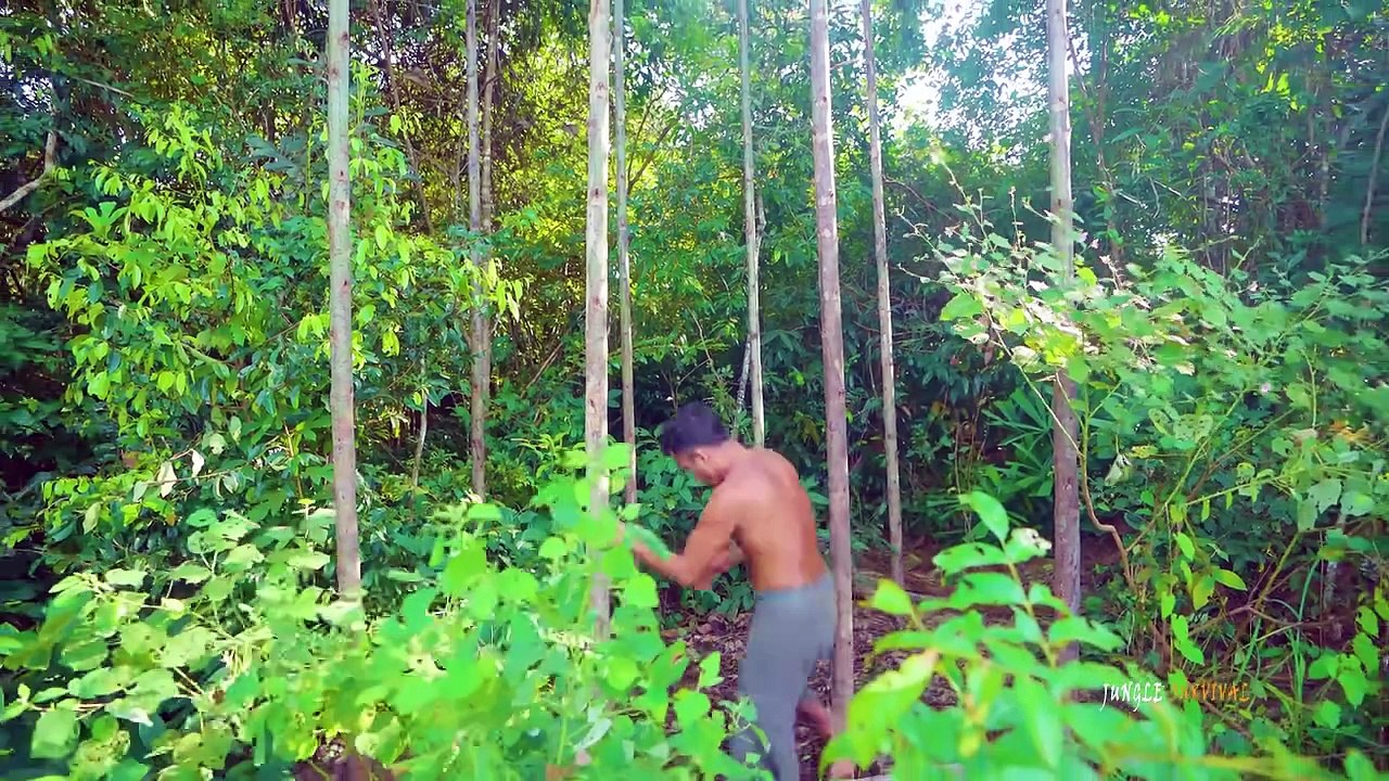 COMPLETE Build The Most Beautiful Jungle Bamboo Villa with Swimming Pool Bamboo by Ancient Skills