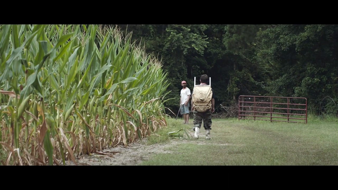 The Peanut Butter Falcon | movie | 2019 | Official Trailer