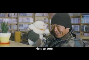 Hearty Paws 2 | movie | 2010 | Official Trailer