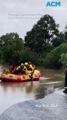 A pair of dogs rescued from Queensland floodwaters