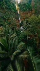 S1E2: The Snake King  This snake’s speed and venom are no joke. Africa’s deadliest in action!