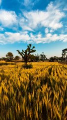 Village view #village