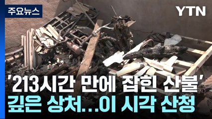'213시간 만에 잡힌 산불' 깊은 상처...이 시각 산청 / YTN