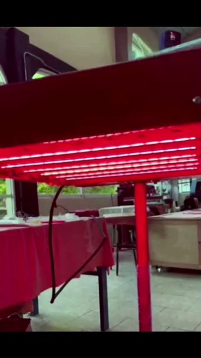 480mm 220v 1000w Ruby Halogen Heating Lamps Infrared Heat Lamps for Pre-dryer
