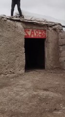 #dog_#doglover_#dogshorts_#doglife_#dangerous_#bulldog_#funny_#nature