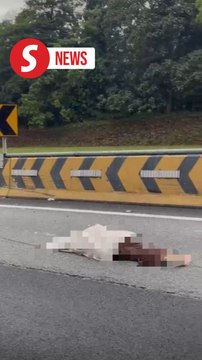 Two-year-old girl killed in Menora Tunnel crash