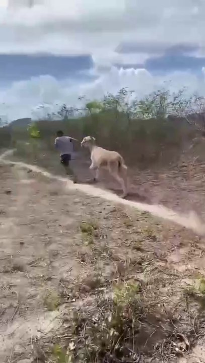don't doing this