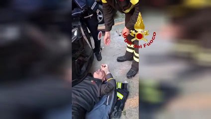 Gattini intrappolati nel motore di un'auto salvati dai Vigili del fuoco a Sassari