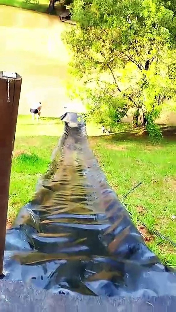 Funny videos funny moments 🤣😂