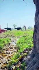 Rishtaydaron say sila e rehmi ka sawab-Baba Irfan-Final