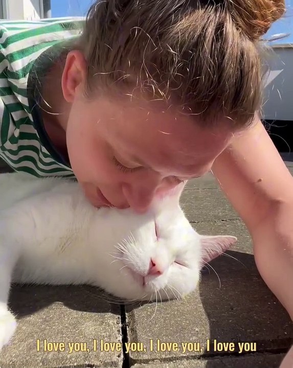 🐾 **Welcome to the Purr-fect World of #CatsofInstagram!** 🐱✨ Dive into a