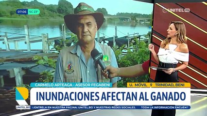 Falta de combustible afecta traslado de reses ante inundaciones en Beni