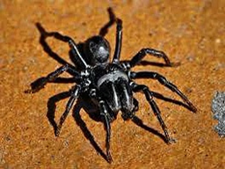 Les miracles scientifiques dans le Coran et la Sunna 2