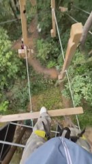 El puente de madera que da miedo solo de verlo: "El diseñador debería ir al psicólogo"