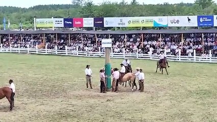 Actividades en el Ruedo Don Homero Formoso - P 3 de 3 - Patria Gaucha 2025 - Tacuarembó, tarde del 22/03