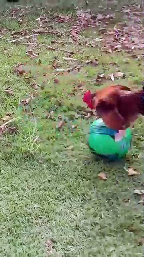 Saleemoffical presentation - footballer #football