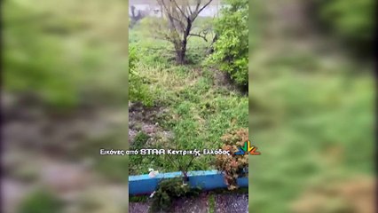 Κακοκαιρία: Σφοδρή χαλαζόπτωση στη Λιβαδειά- Άσπρισε ο τόπος