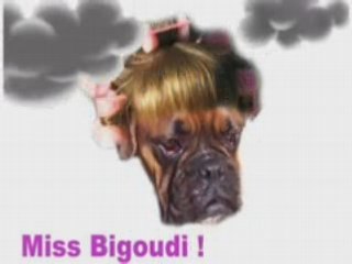 Bigoudis sixtine