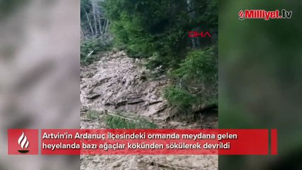 Artvin'de ormanda heyelan; ağaçların devrilme anı kamerada