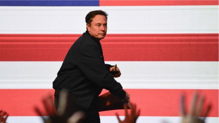 GALA VIDEO - Elon Musk, fromage sur la tête : sa nouvelle frasque fait parler !