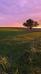 Think Big, Start Small but Act now