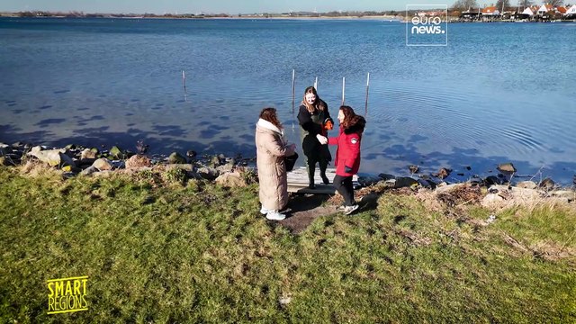 Дания и Германия продвигают морские водоросли в рамках европейского проекта